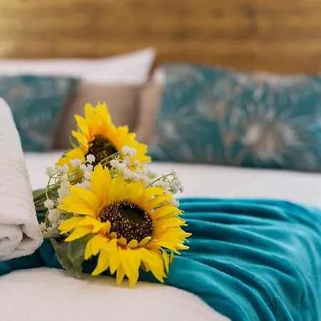 Апартаменты San Miguel Tranquilo Moderno *