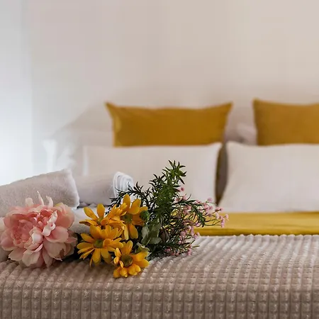 San Miguel Tranquilo Moderno *