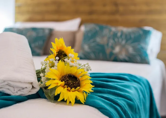 Apartamento San Miguel Tranquilo Moderno *