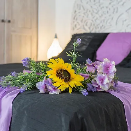 San Miguel Tranquilo Moderno Daire *