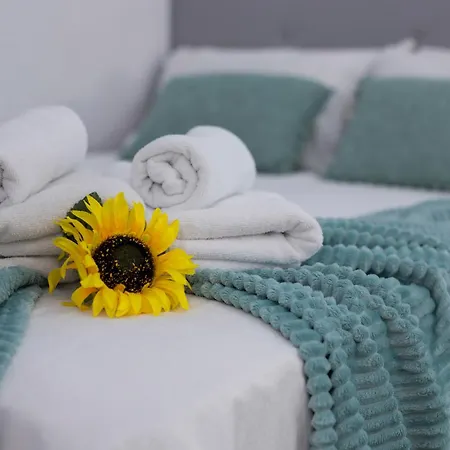 San Miguel Tranquilo Moderno Daire