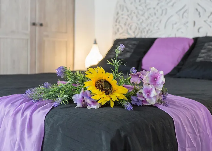 San Miguel Tranquilo Moderno アパート *