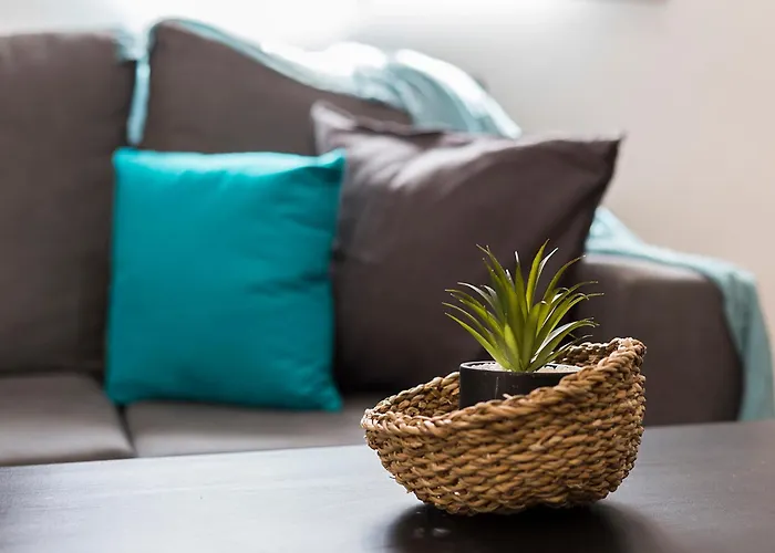 San Miguel Tranquilo Moderno